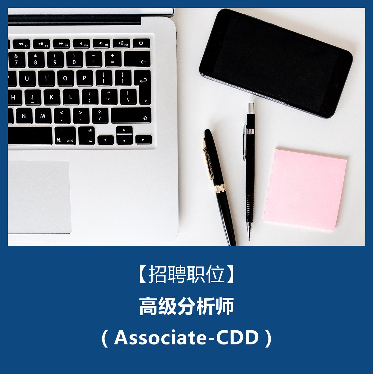 社会招聘-高级分析师 （Associate-CDD）